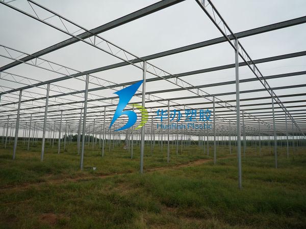 連云港東?？h雙店鎮(zhèn)溫室大棚PC陽光板