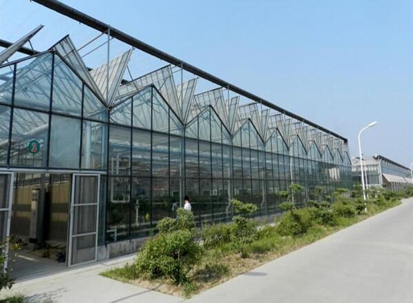 溫室大棚為什么選擇PC陽光板